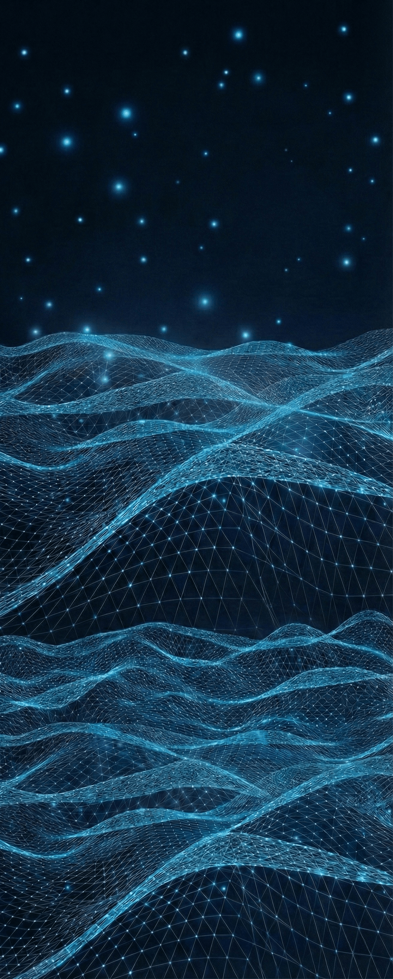 API Portfolio